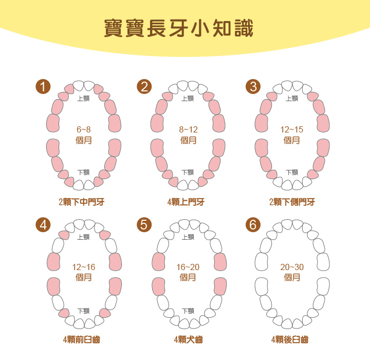 proimages/Baby_care_and_toys/Teether/5483/5483香蕉固齒器-8.jpg