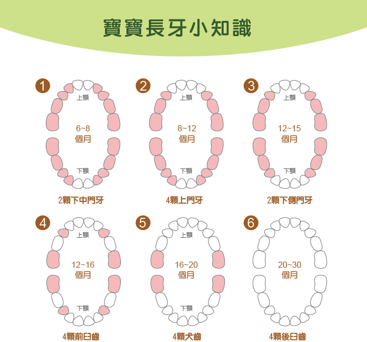 proimages/Baby_care_and_toys/Teether/5484/5484玉米固齒器-8.jpg